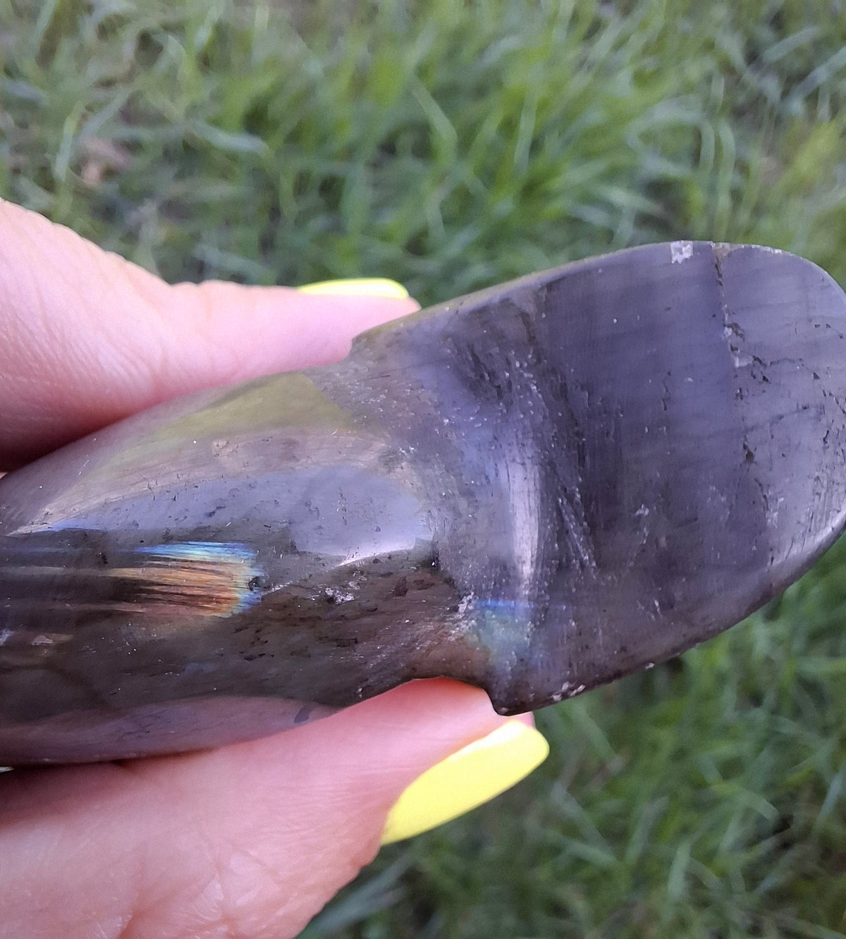 Labradorite Ammonite Carving, 146.90g, Crystal (Ref: laba5)