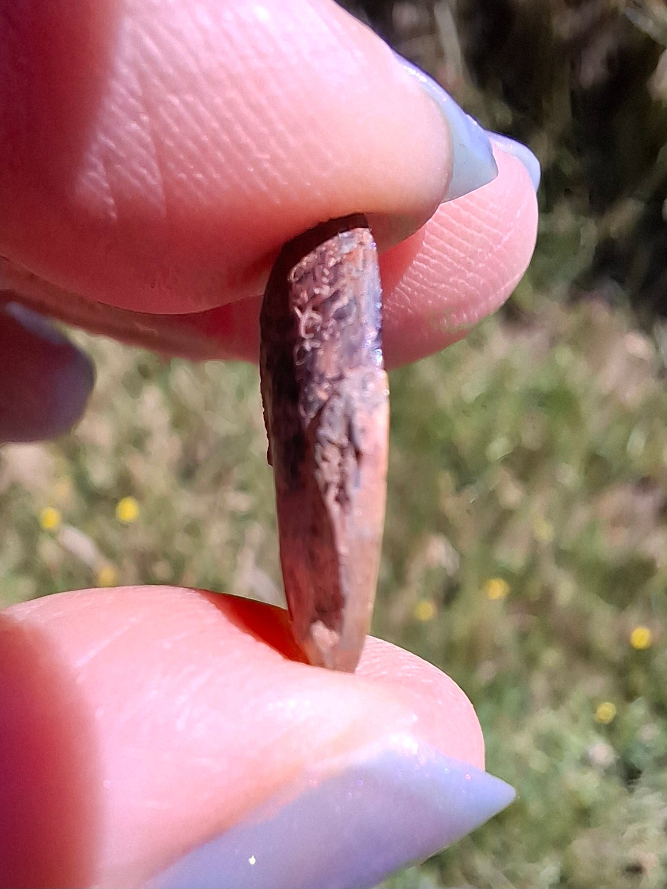 Small Haematite Ammonite HALF, 1.32g, Fossil (Ref: MA5)