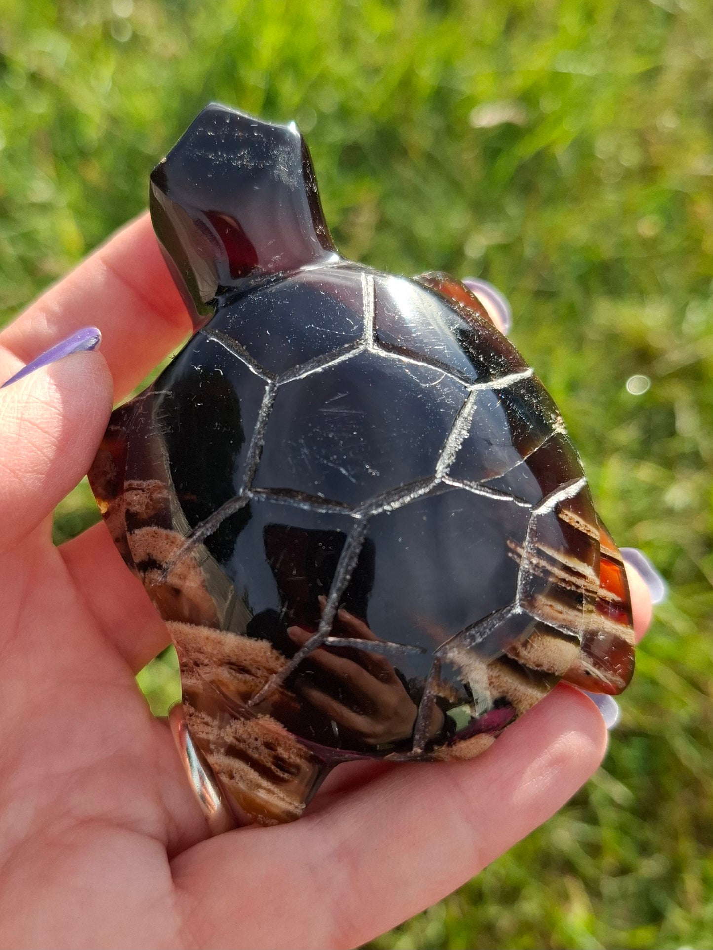 Red Amber Turtle, 59.07g, Carving, Fossil (Ref: TT5)