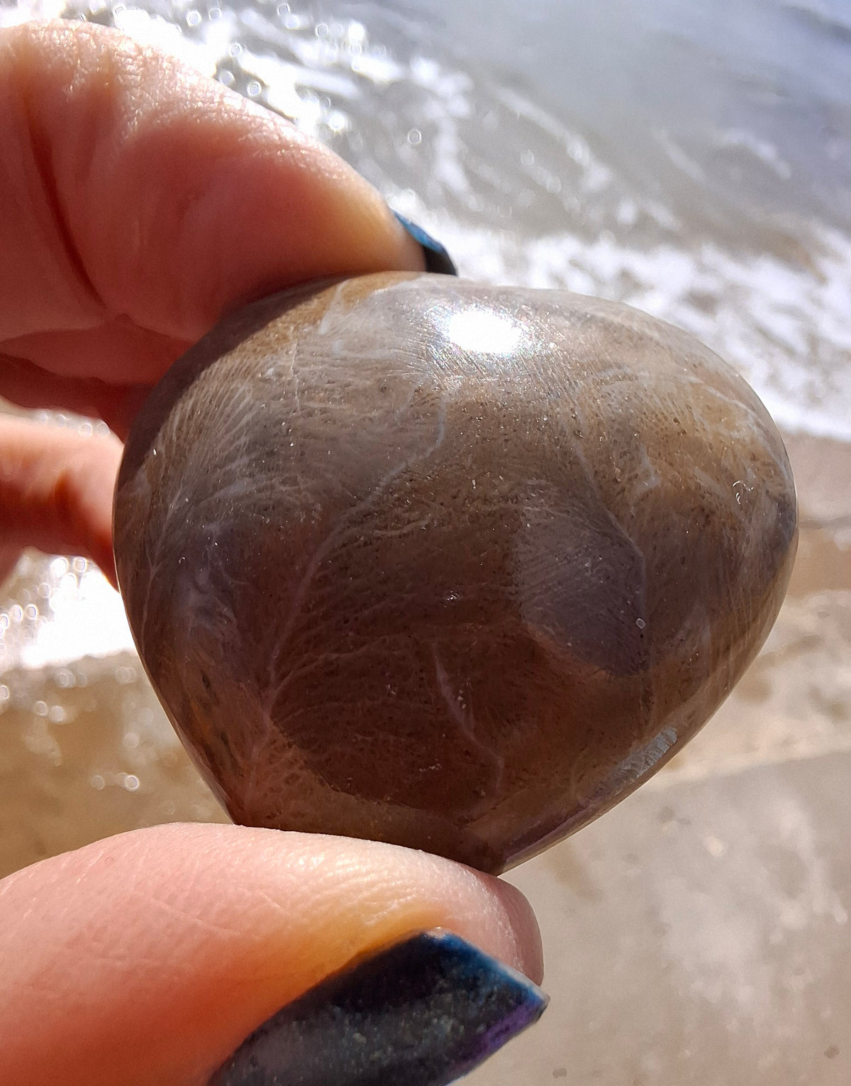 Fossil Coral Heart, (Ref:CoH1)