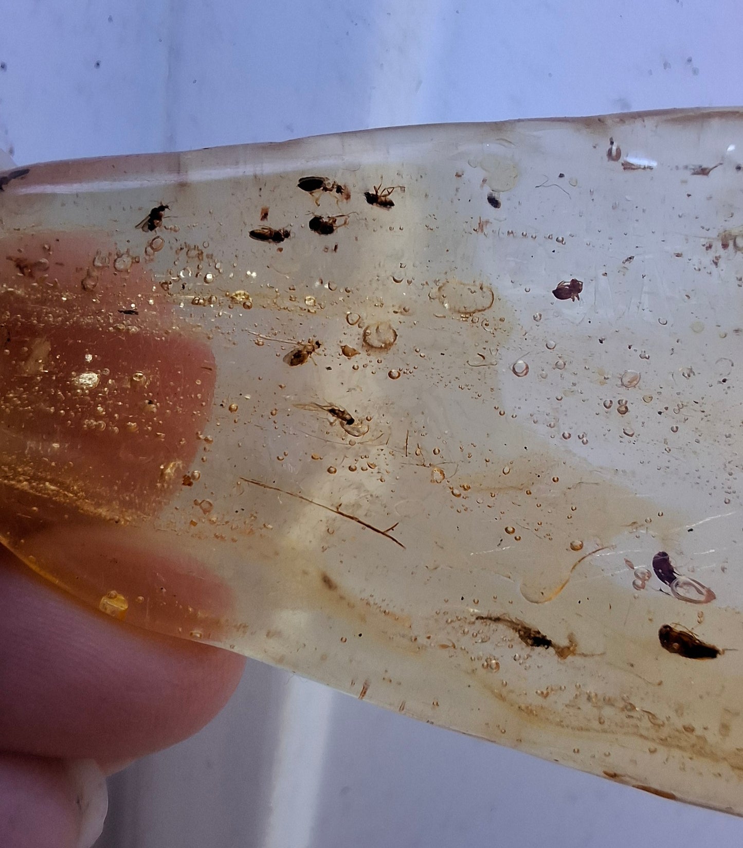Copal Young Amber with INSECTS inside, 28.43g, Fossil (Ref: CA10)