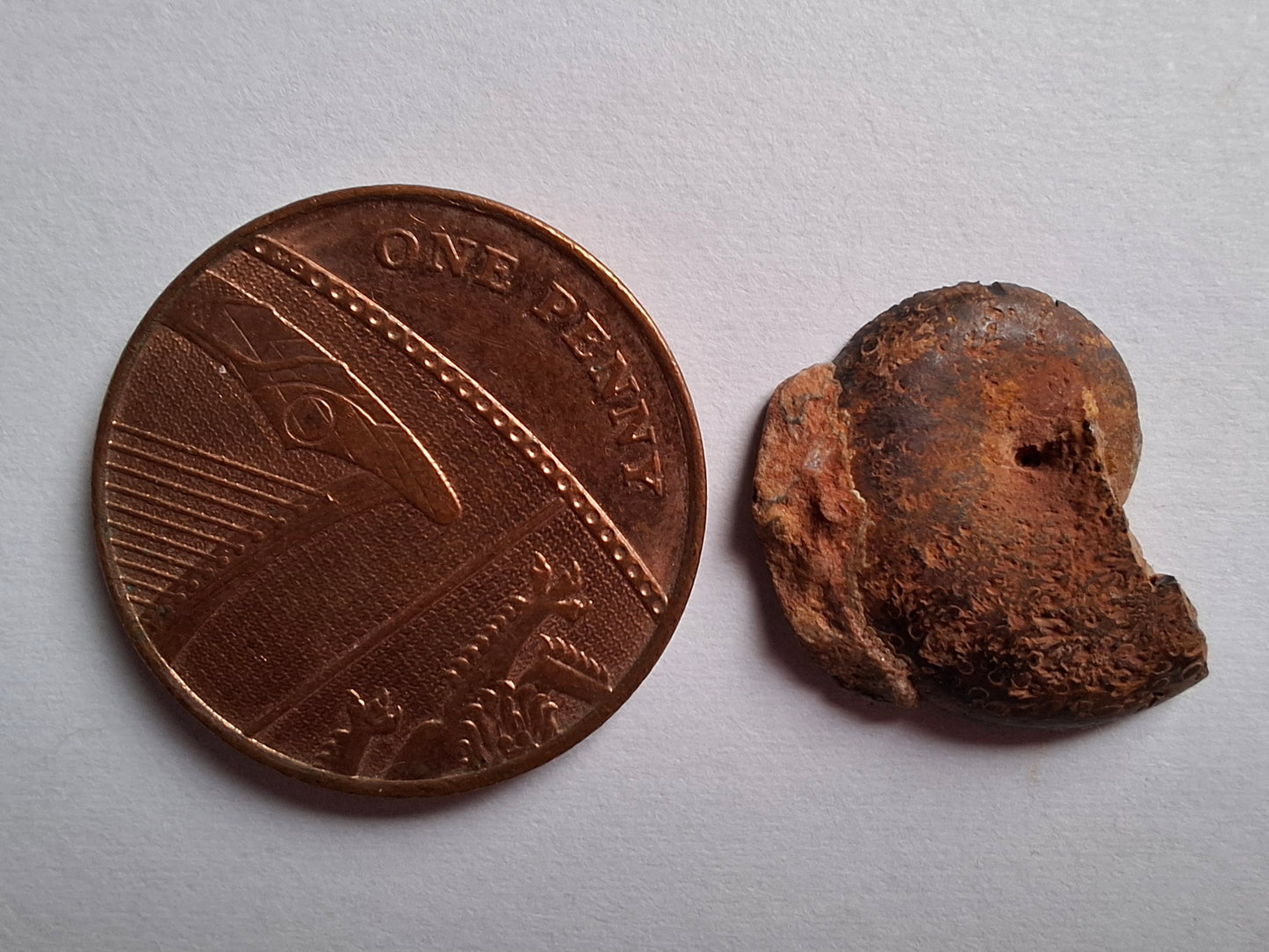 Small Haematite Ammonite HALF, 1.32g, Fossil (Ref: MA5)