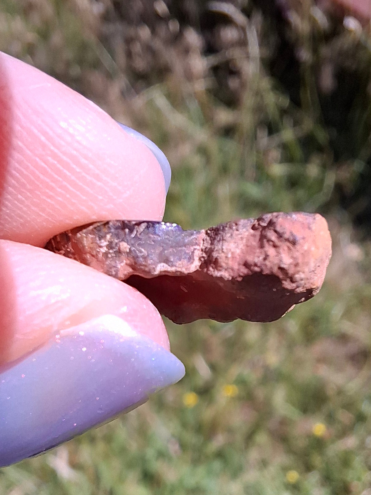 Small Haematite Ammonite HALF, 1.41g, Fossil (Ref: MA6)