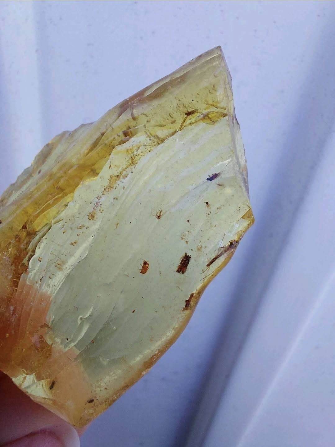 Copal Young Amber with INSECTS inside, 6.42g, Fossil (Ref: CA38)
