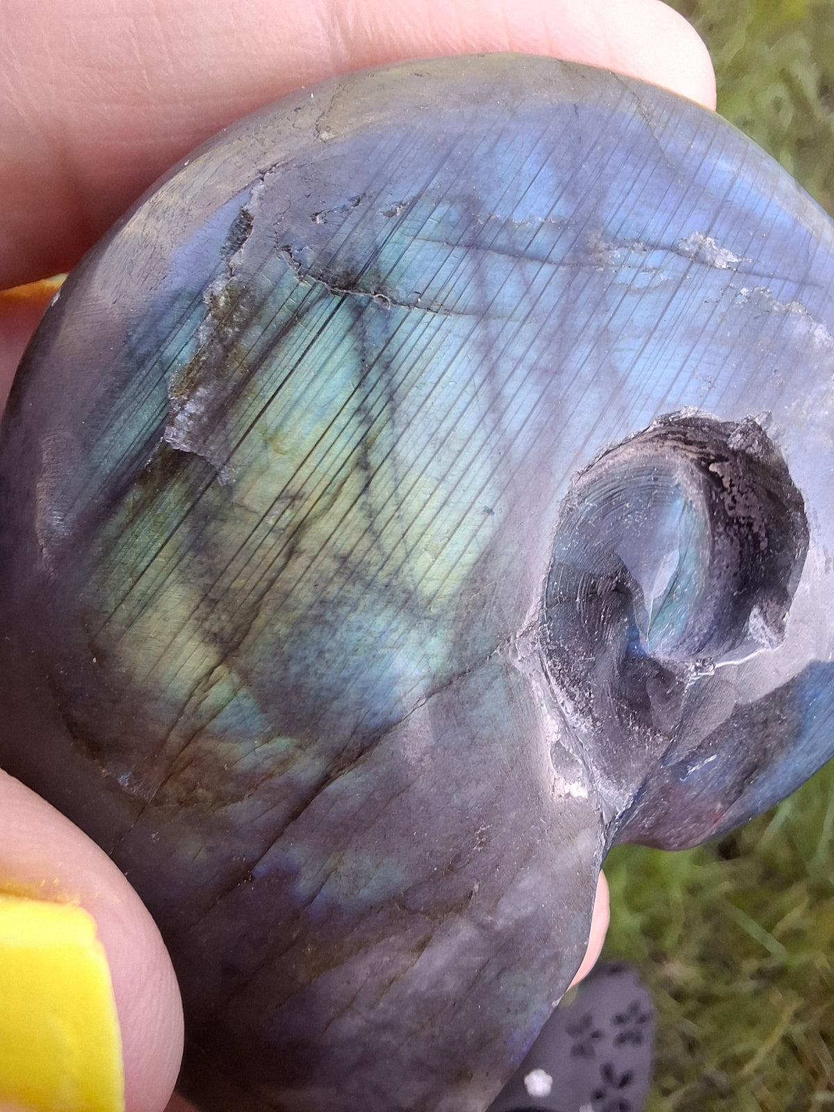 Labradorite Ammonite Carving, 111.66g, Crystal (Ref: laba3)