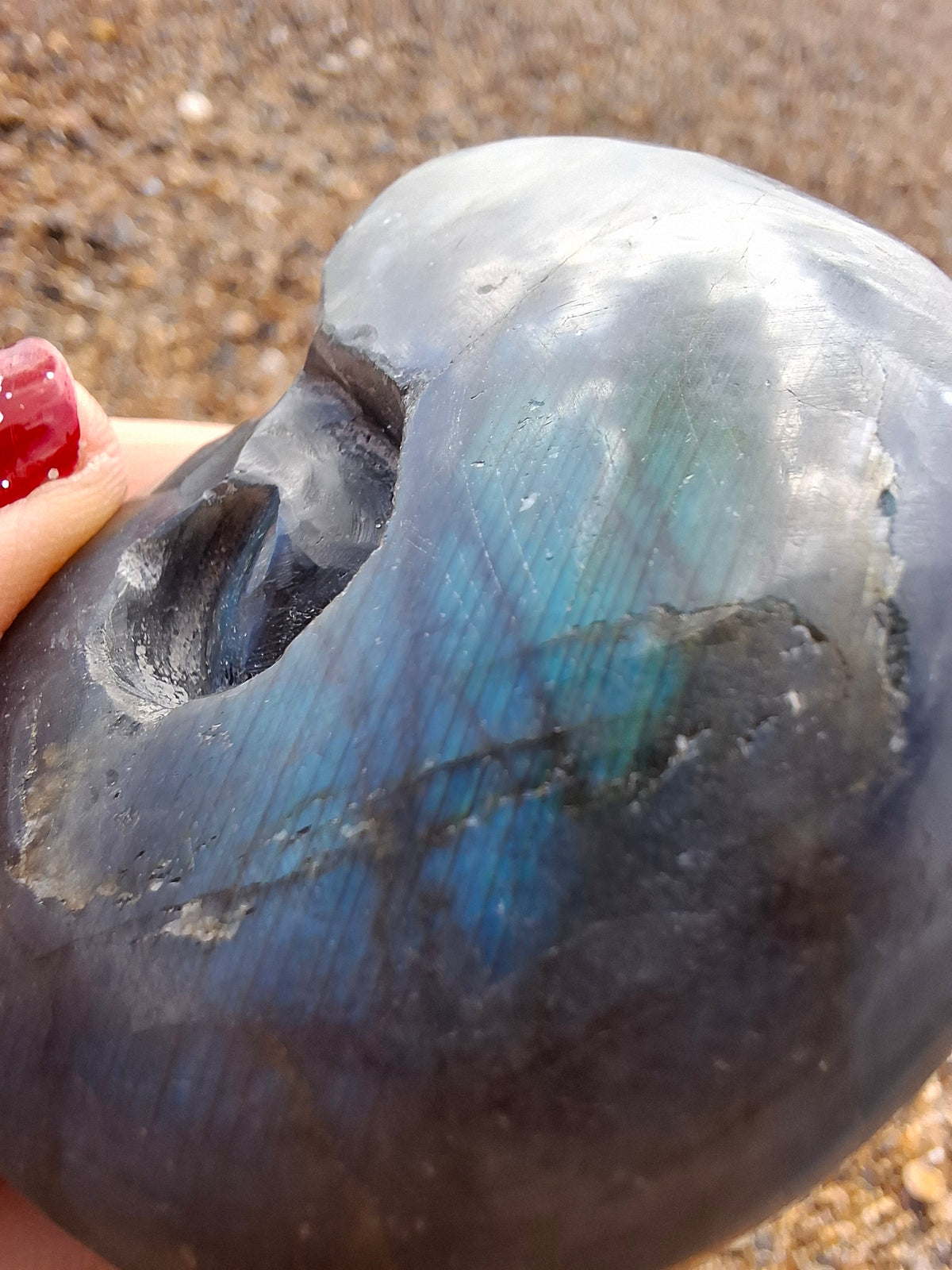 Labradorite Ammonite Carving, 111.66g, Crystal (Ref: laba3)