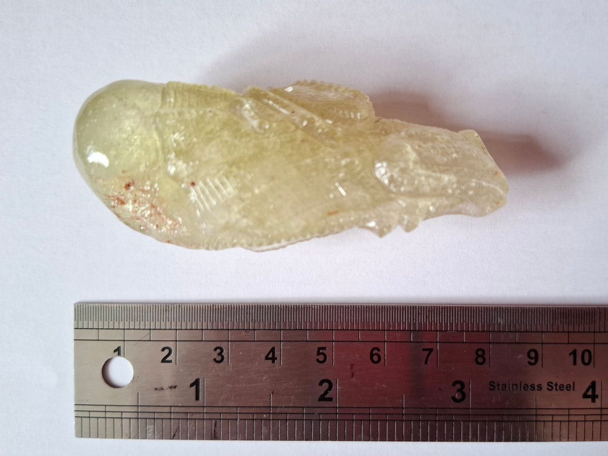 Libyan Desert Glass DRAGON HEAD carving, 48.11g, Tektite (Ref: Dragon4)