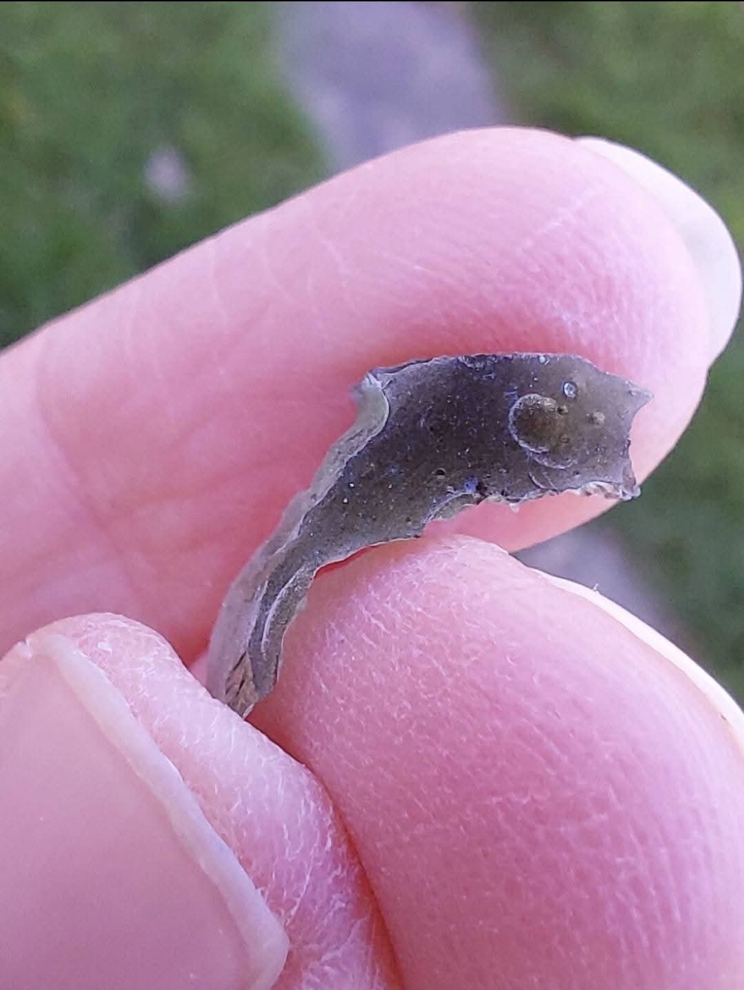 Moldavite Piece, 0.89g, Tektite (Ref: 1011)