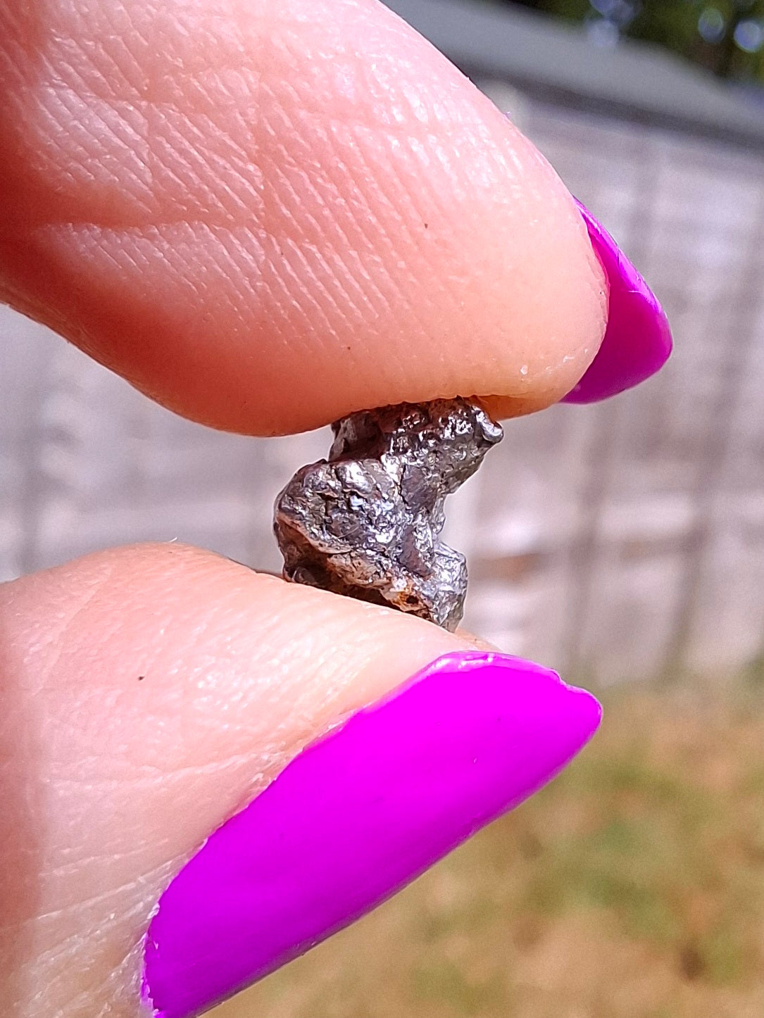 Campo del Cielo, 1.18g, Nickel Iron Meteorite (Ref: C10)