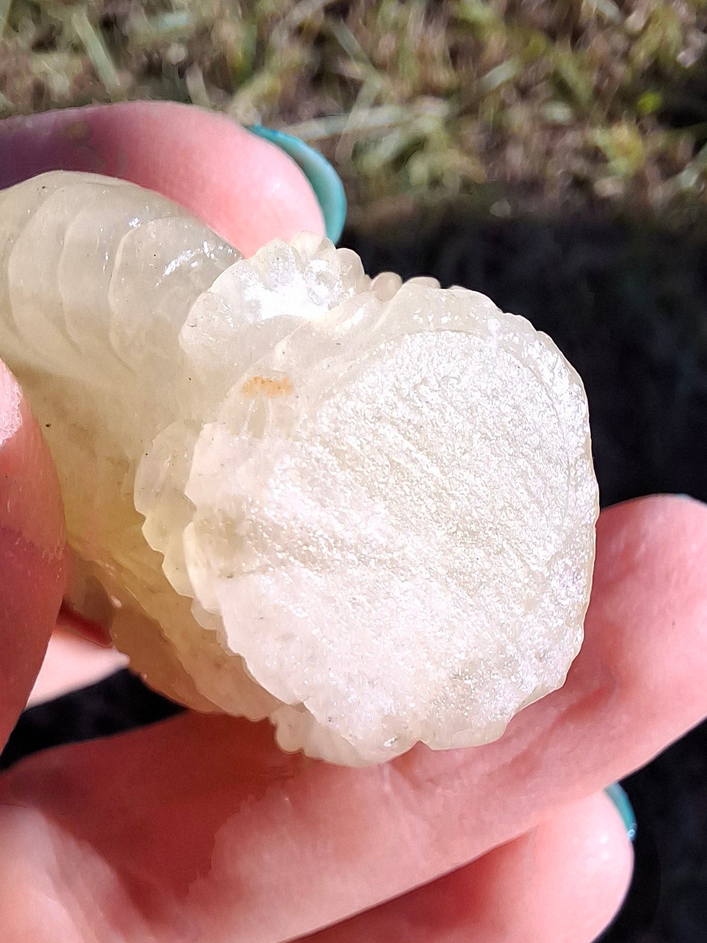 Libyan Desert Glass GANESHA craving, 31.21g, Tektite (Ref: Ganesha2)