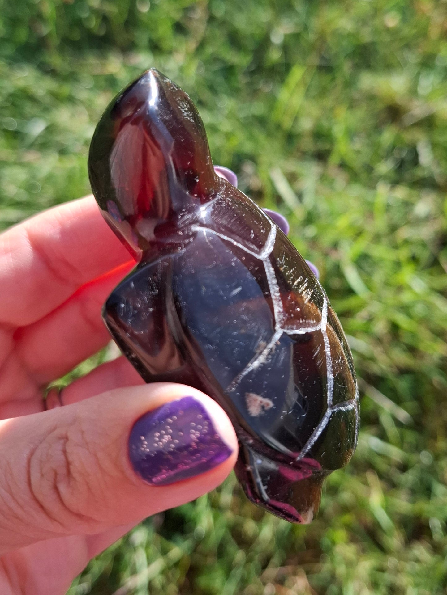 Red Amber Turtle, 52.00g, Carving, Fossil (Ref: TT3)