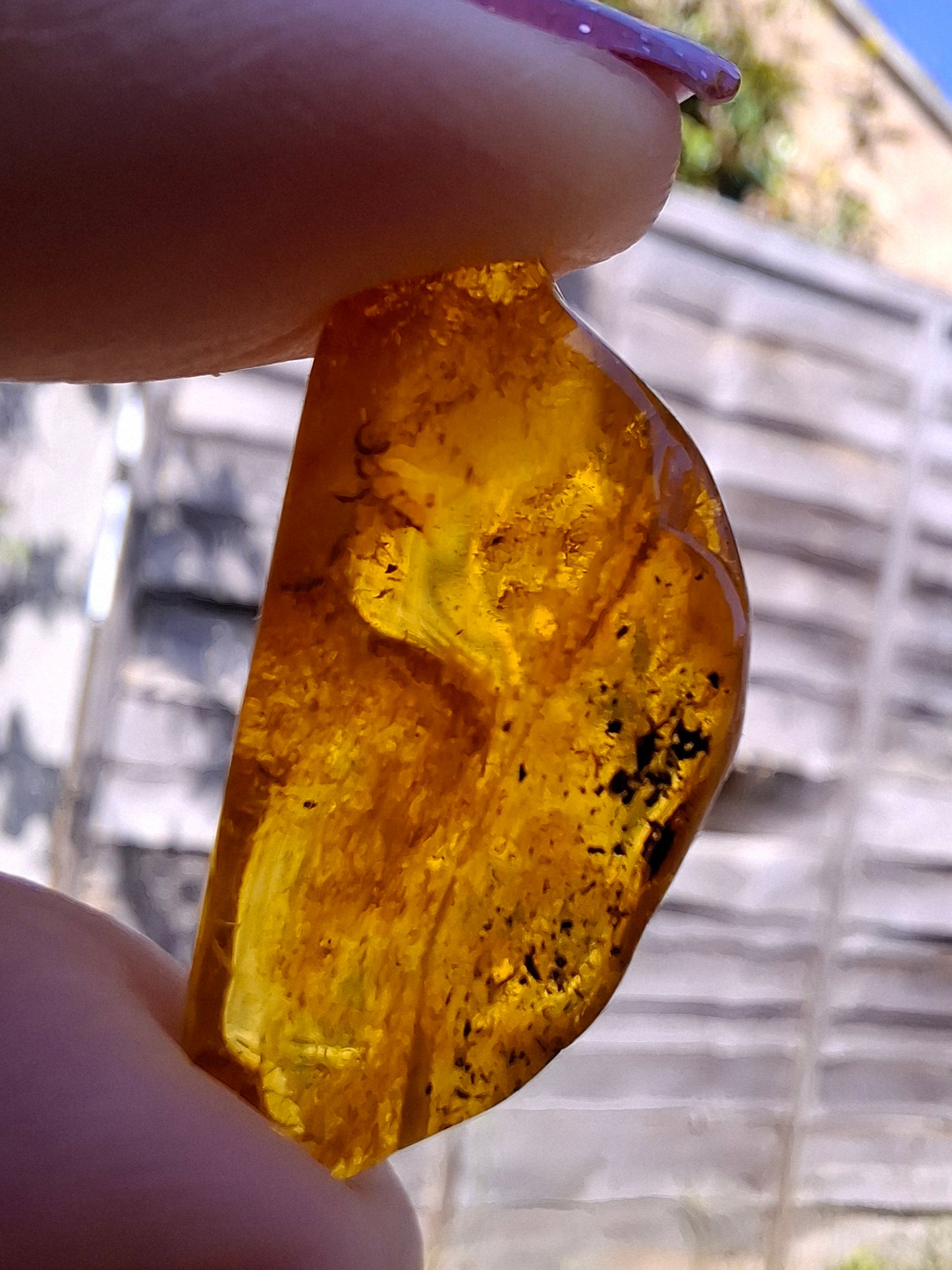 Baltic Amber, 1.39g, Fossil (Ref: A181)