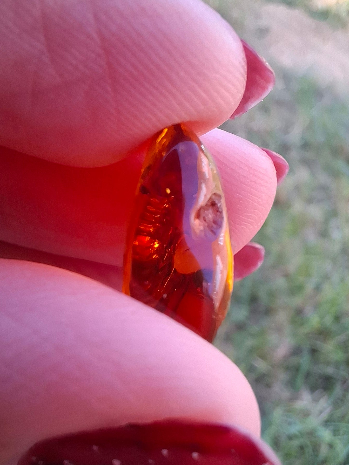 Baltic Amber, 0.97g, Fossil (Ref: A249)