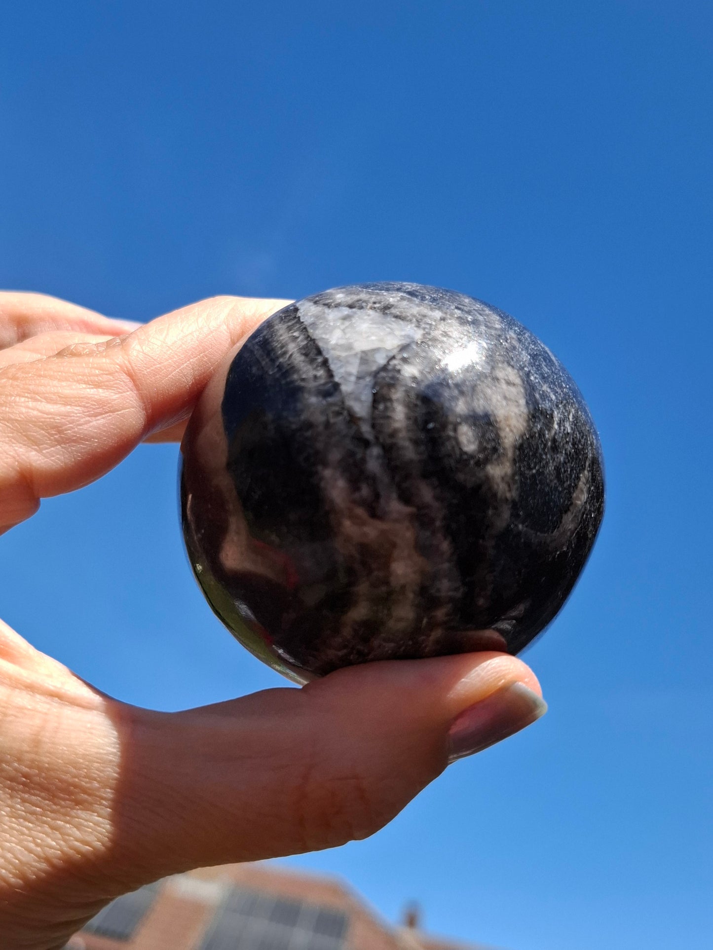 Orthoceras Sphere, Fossil (Ref: OS3)