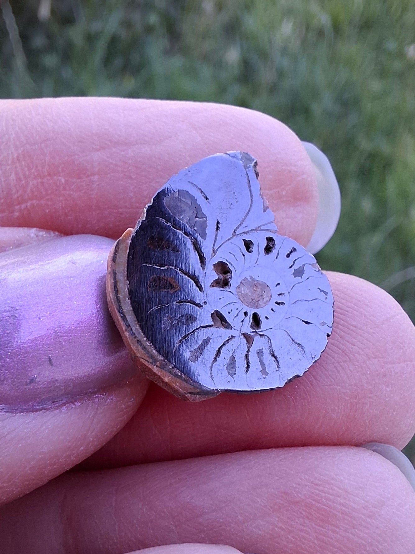 Small Haematite Ammonite HALF, 1.32g, Fossil (Ref: MA5)