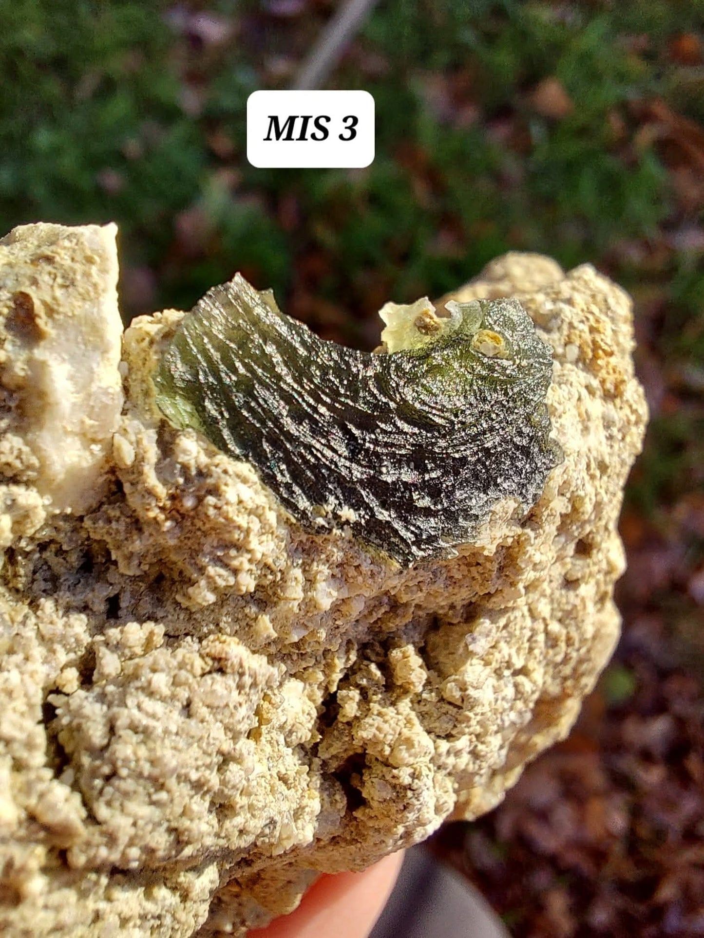 Moldavite In-Situ (in matrix), Besednice, Est- 3g, Tektite (Ref: MIS3)
