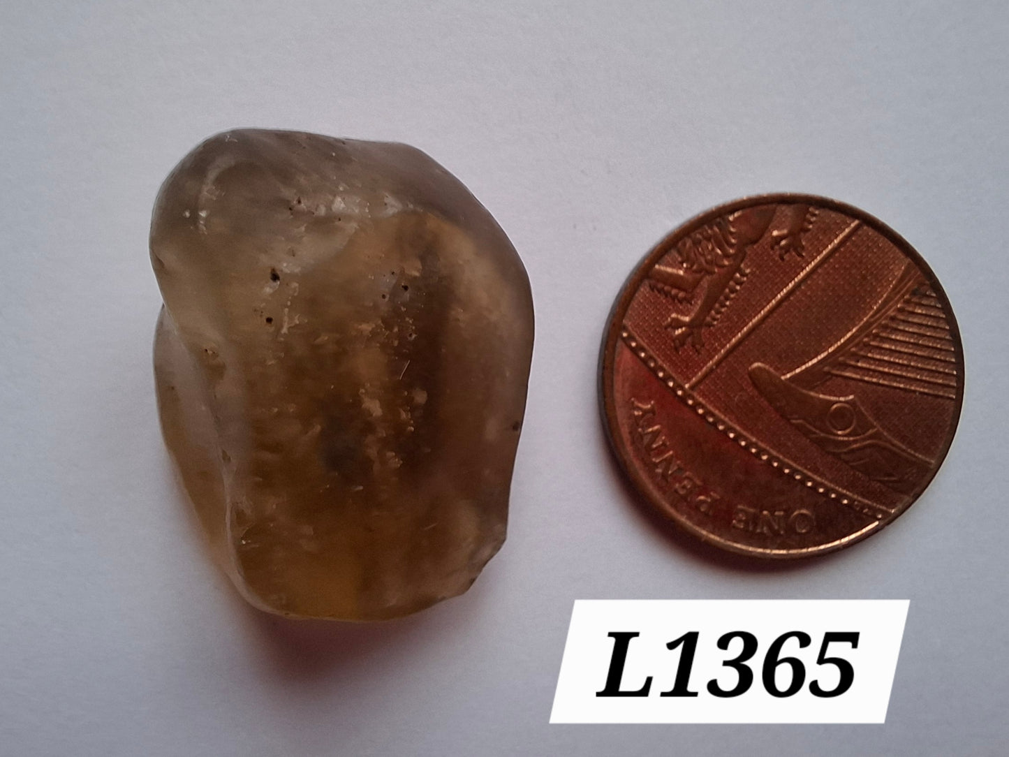 Libyan Desert Glass (darker) Piece, 6.82g, Tektite (Ref: L1365)