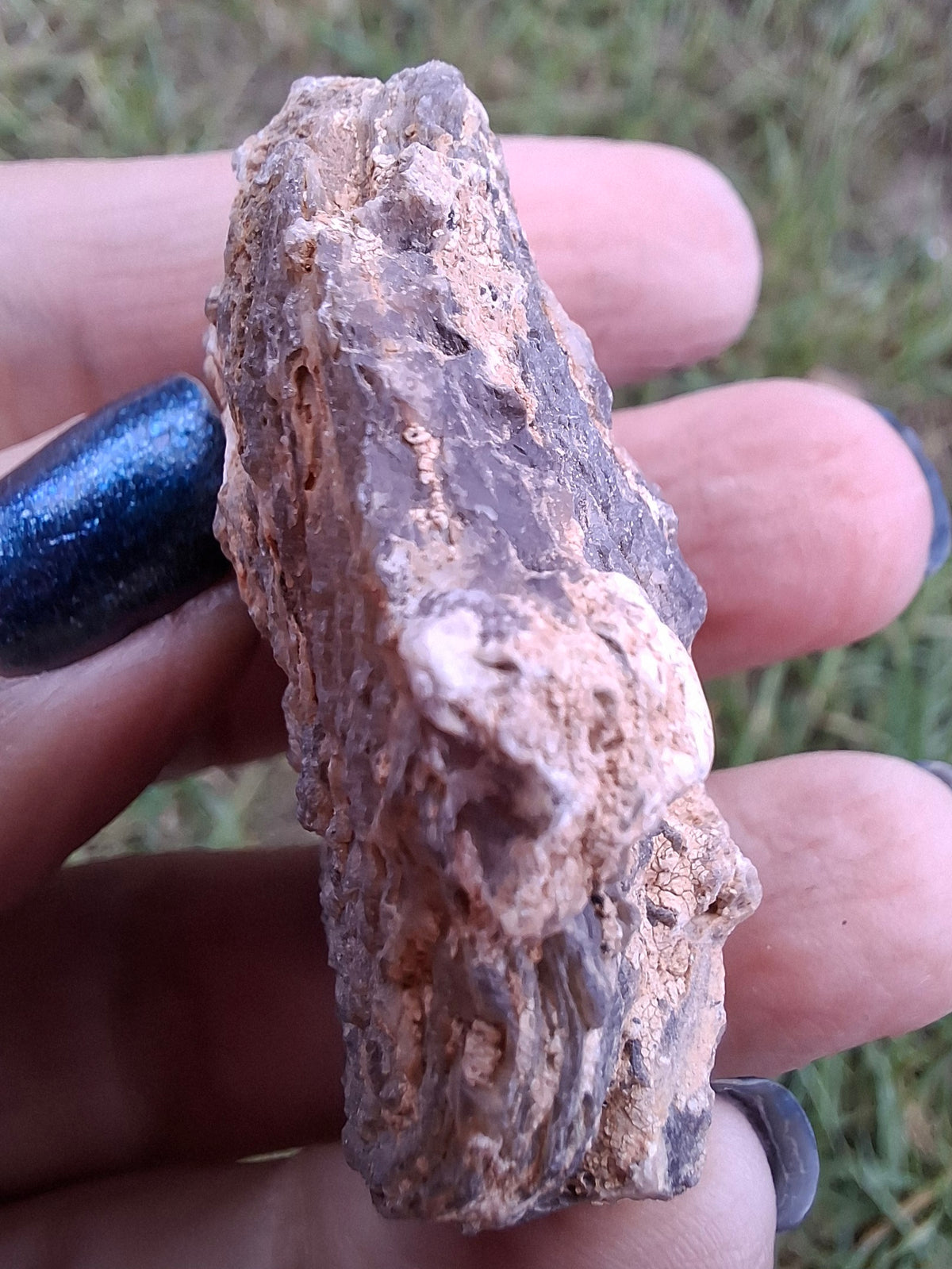 Chalcedony Oyster, Fossil (Ref: FO3)