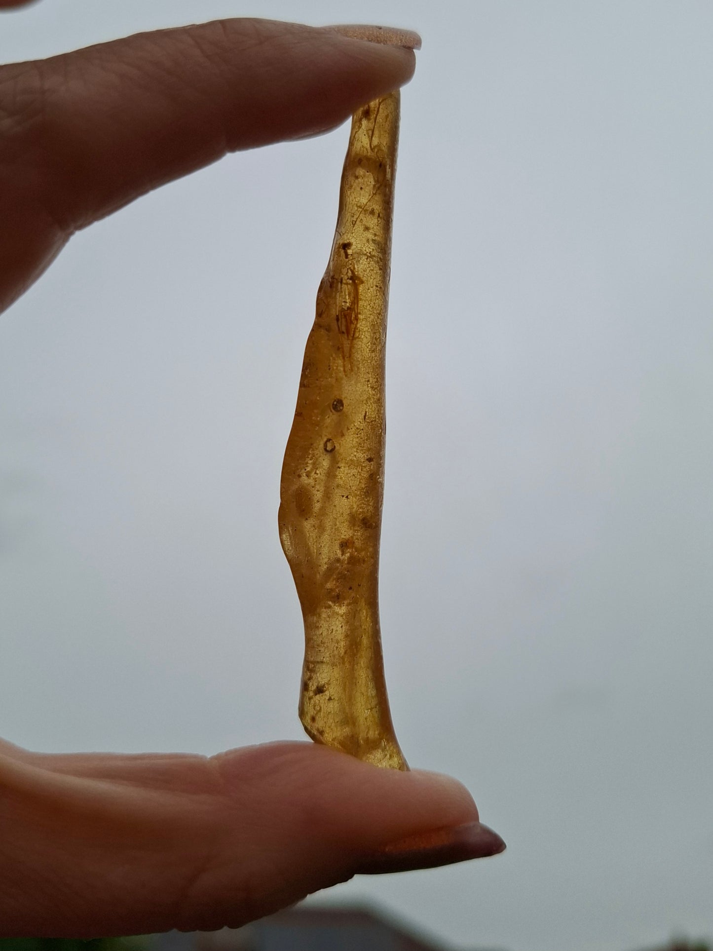 Copal Young Amber with INSECTS inside, 5.07g, Fossil (Ref: CA35)