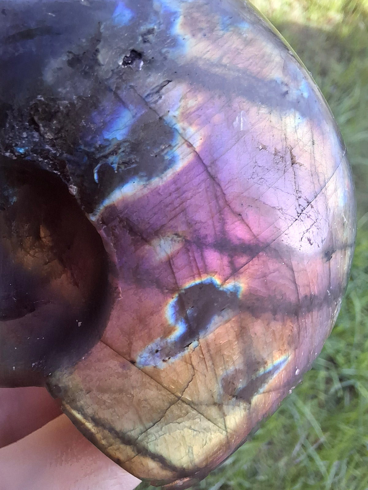 Labradorite Ammonite Carving, 146.90g, Crystal (Ref: laba5)