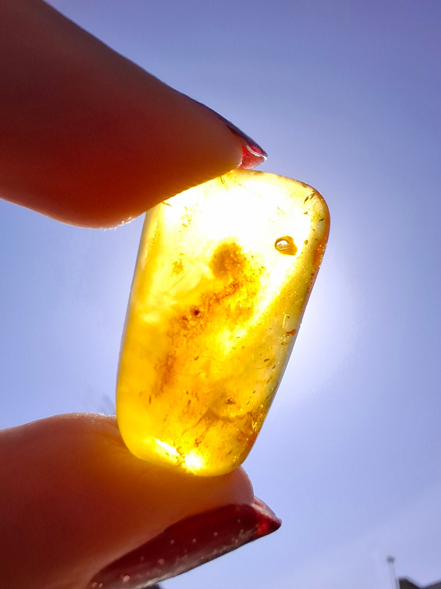 Baltic Amber, 1.55g, Fossil (Ref: A219)