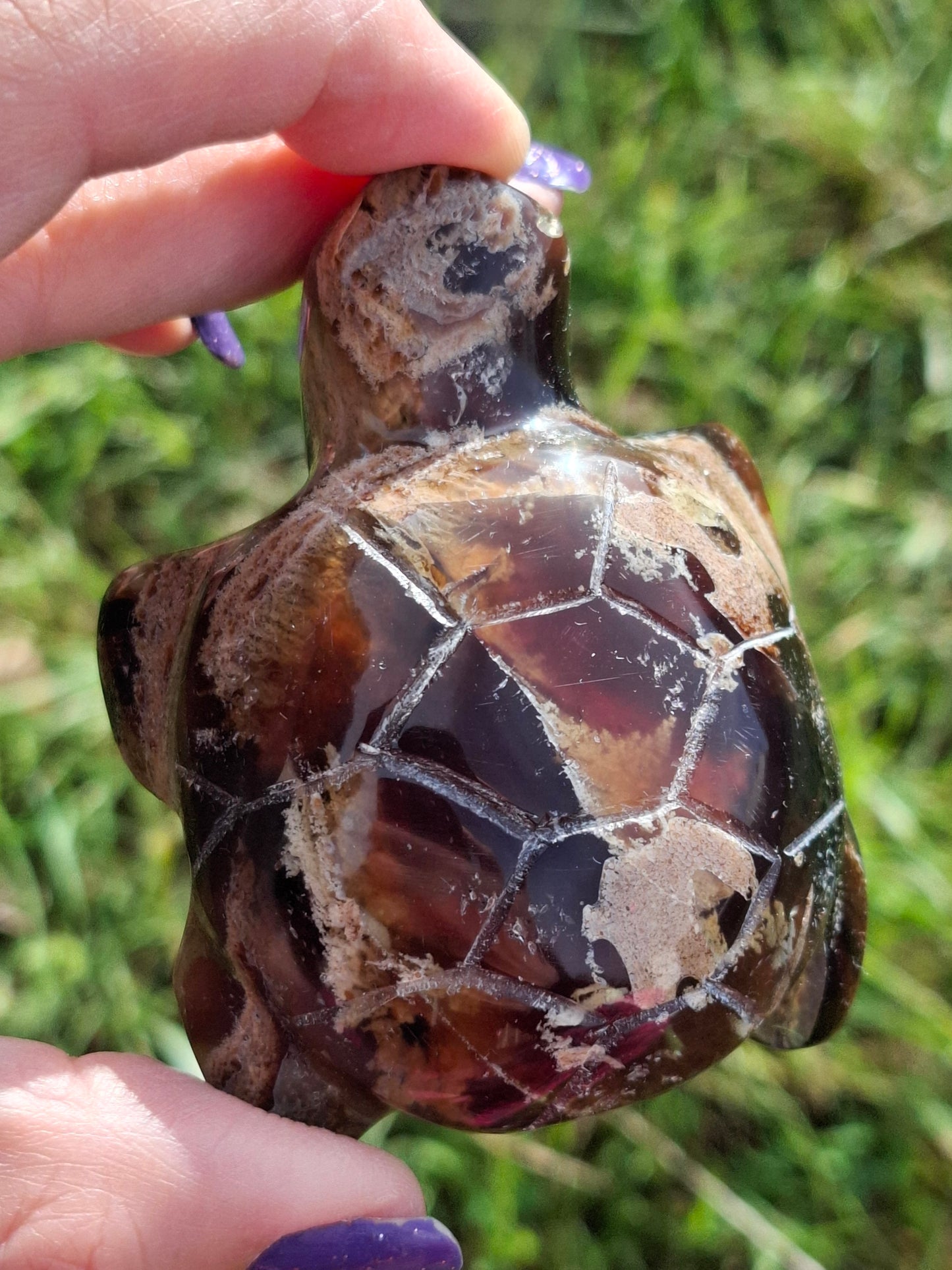 Red Amber Turtle, 56.87g, Carving, Fossil (Ref:TT7)