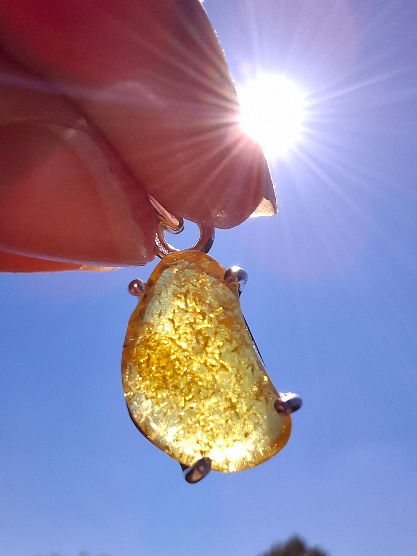 Baltic Amber Pendant, 925 Silver, Fossil (Ref: AP22)