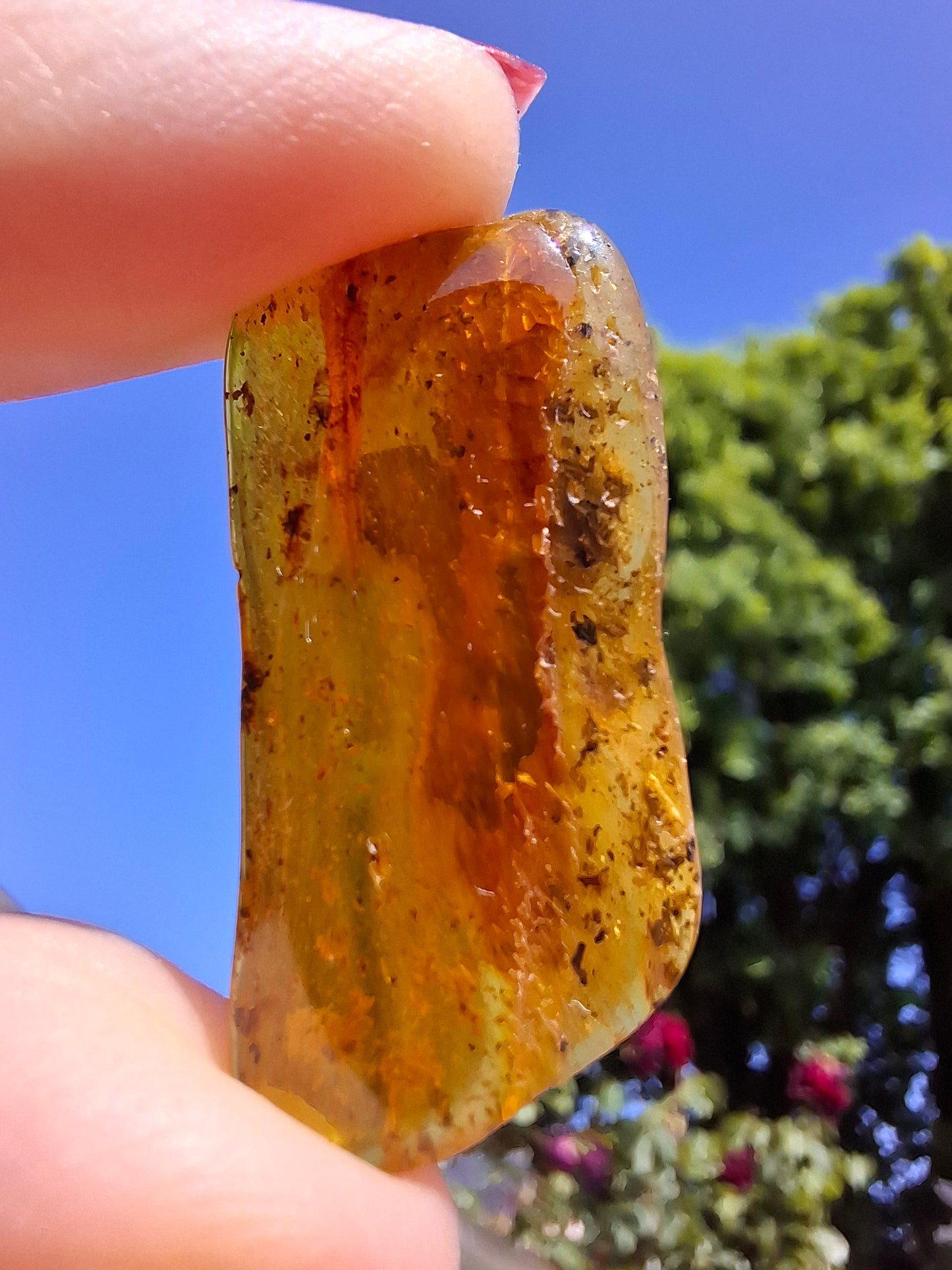 Baltic Amber, 1.84g, Fossil (Ref: A193)
