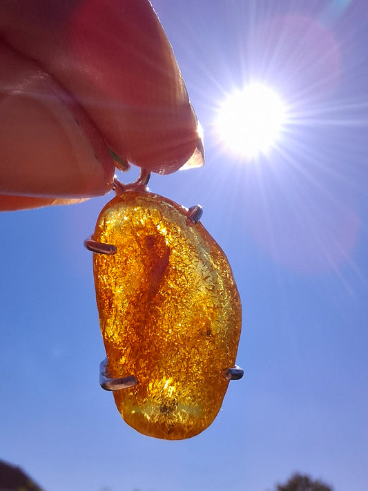 Baltic Amber Pendant, 925 Silver, Fossil (Ref: AP11)
