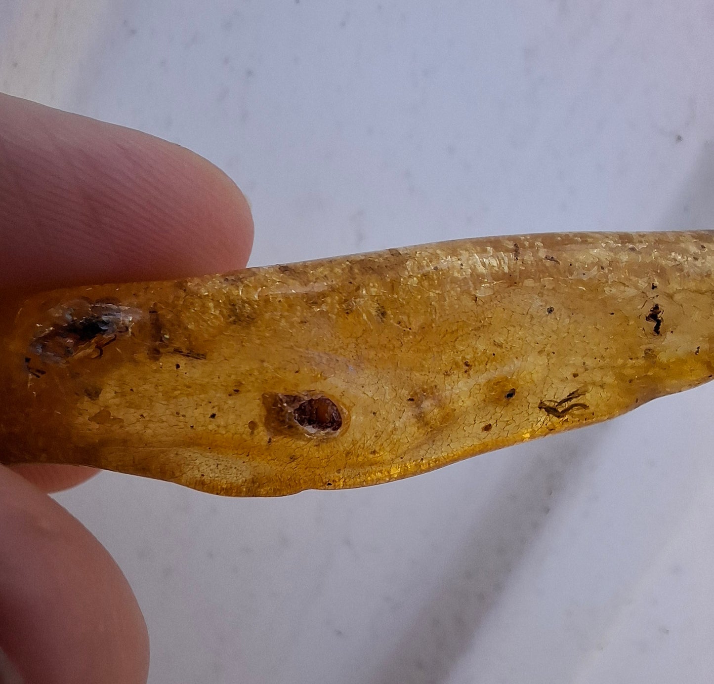 Copal Young Amber with INSECTS inside, 5.07g, Fossil (Ref: CA35)