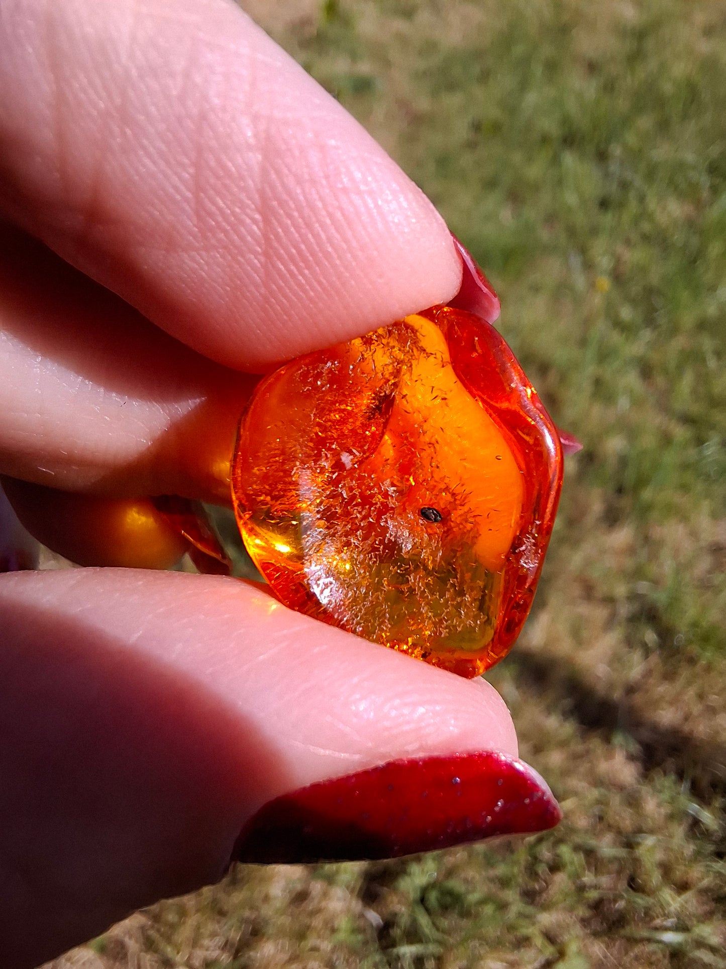 Baltic Amber, 1.12g, Fossil (Ref: A111)