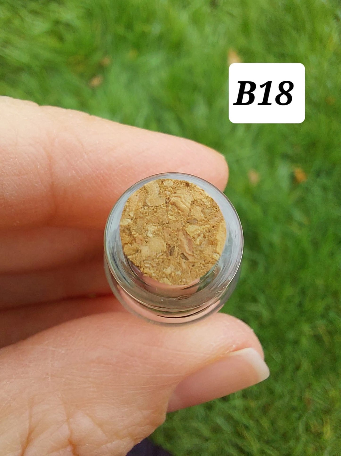 Moldavite chips (2.00g) in 3ml glass Bottle, Tektite (Ref: B18)