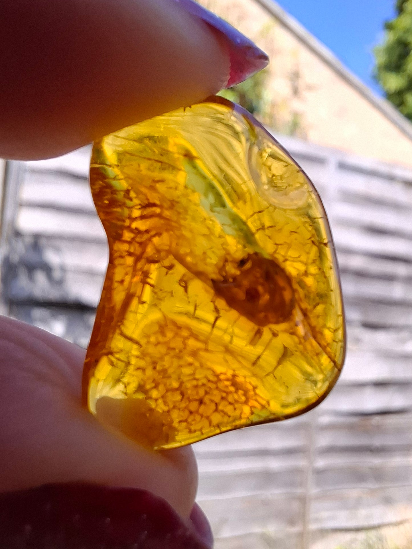 Baltic Amber, 1.07g, Fossil (Ref: A98)