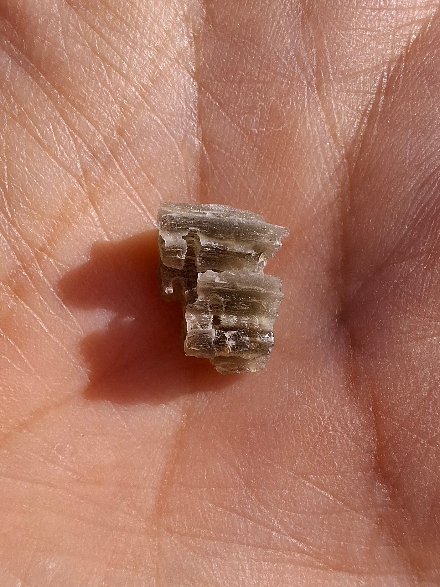 Moldavite Piece, SNOWFLAKE, FROSTED, BRUSNA, Tektite (Ref: 1495)