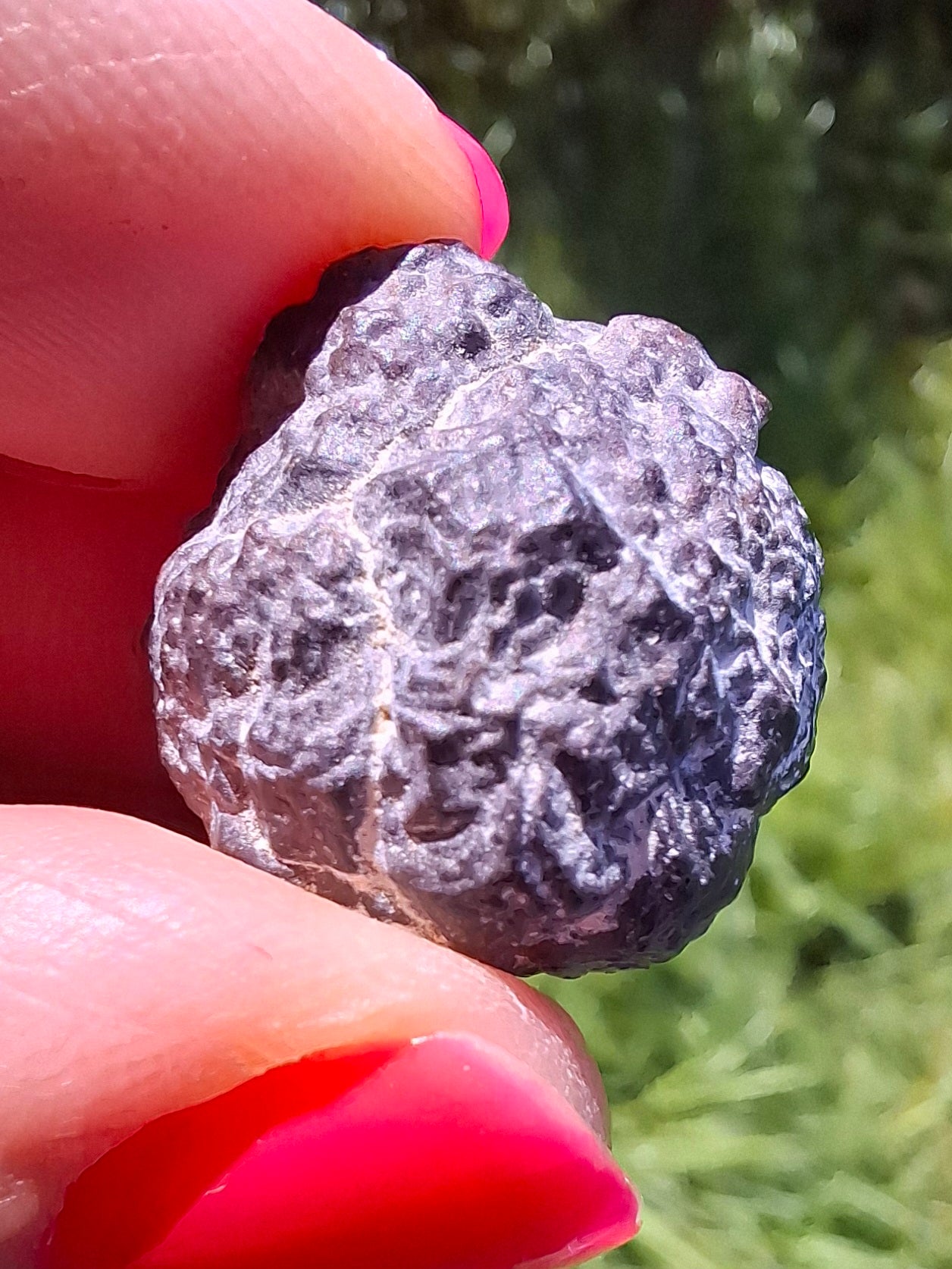 Prophecy Stone, 11.71g (Ref: PS19)