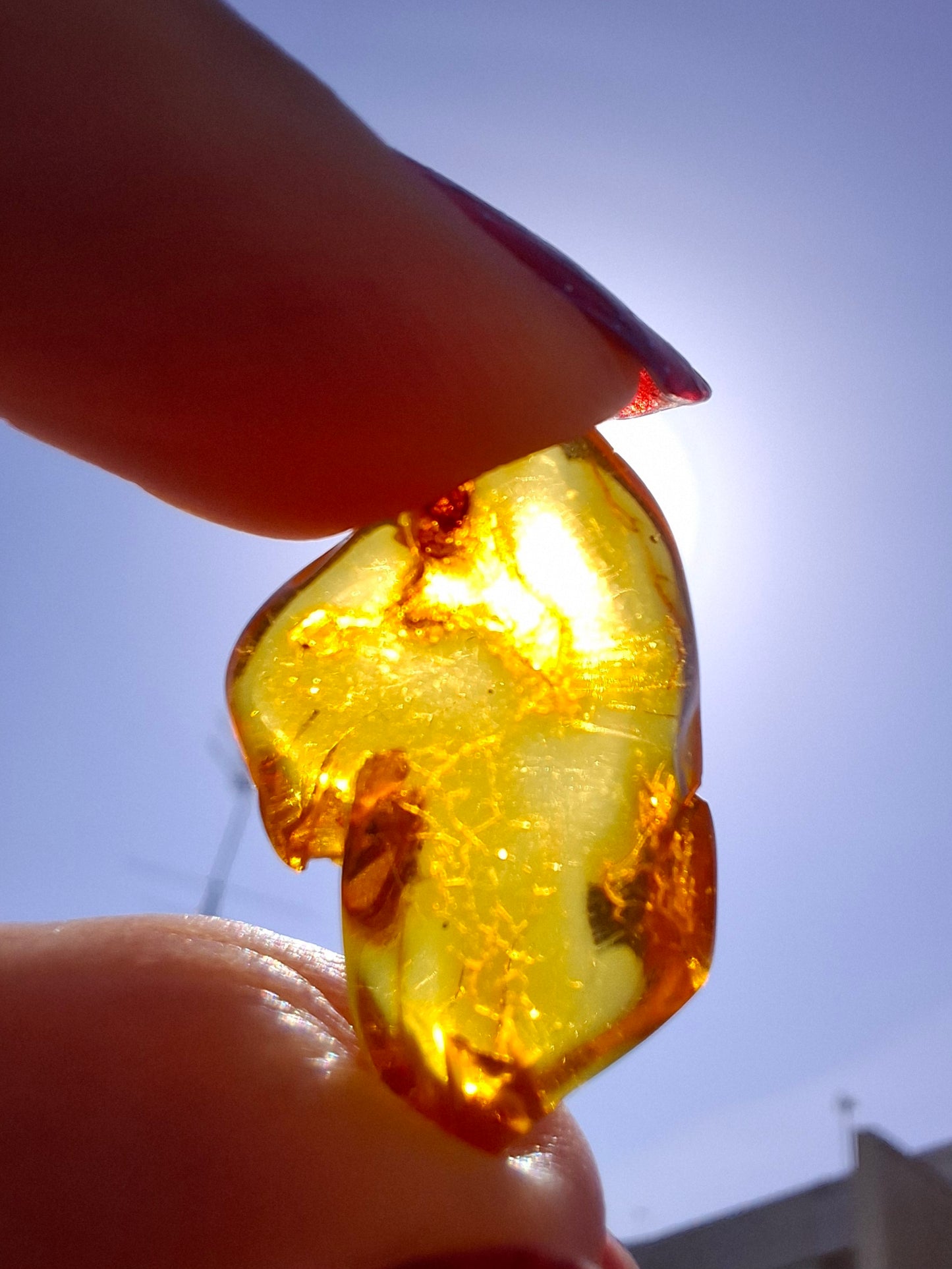 Baltic Amber, 1.31g, Fossil (Ref: A234)