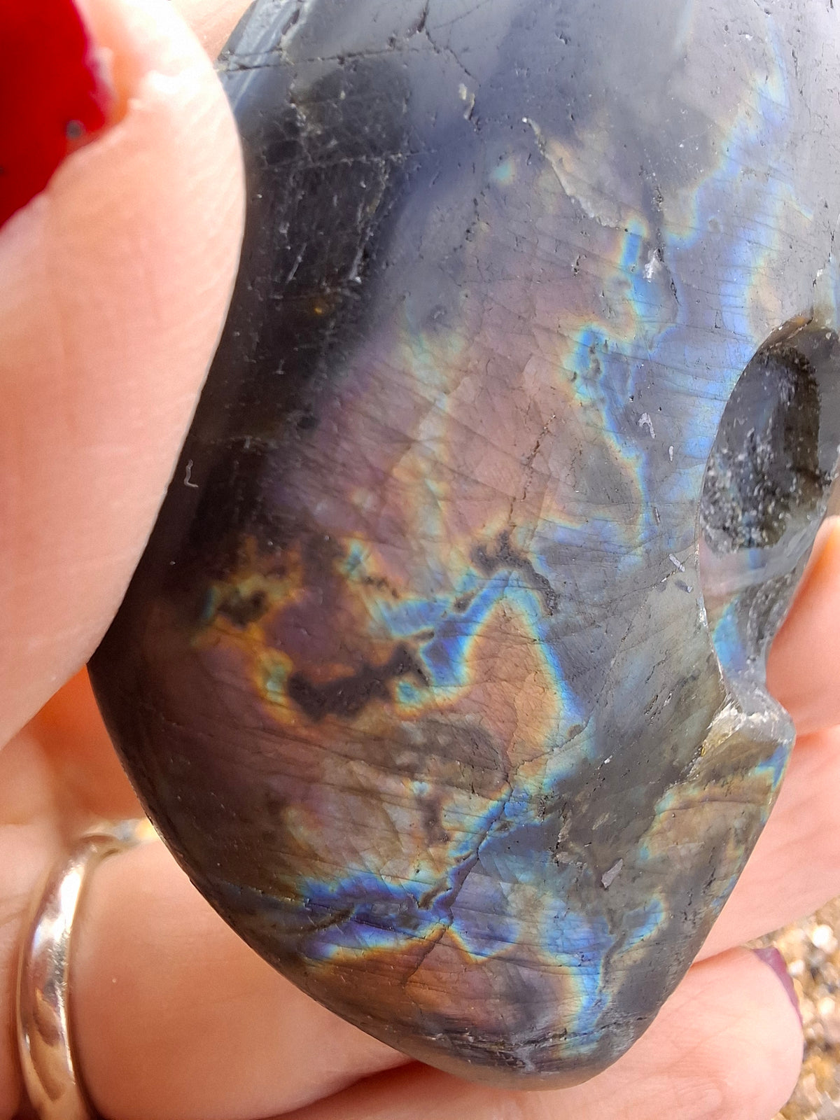 Labradorite Ammonite Carving, 89.31g, Crystal (Ref: laba6)