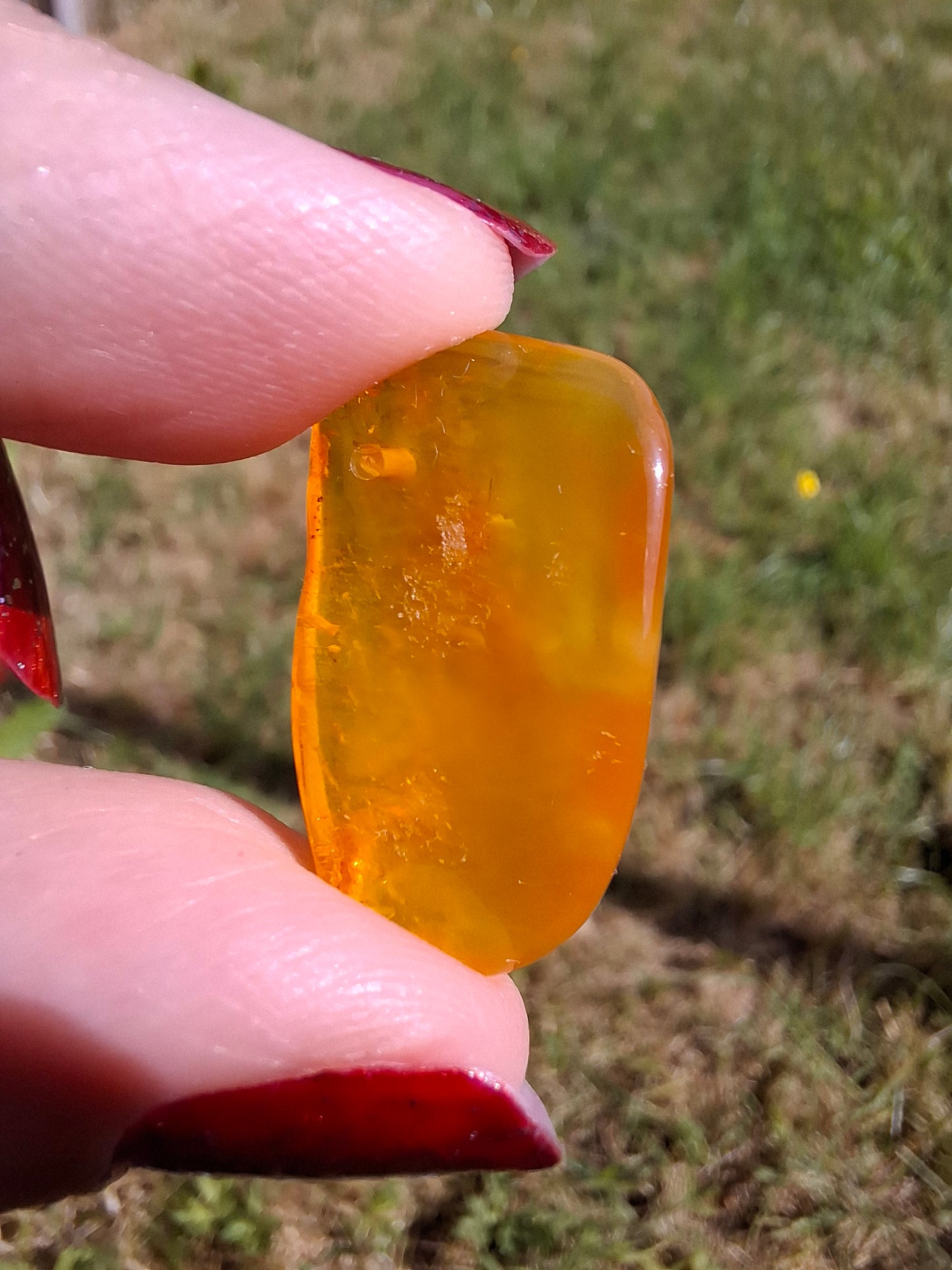 Baltic Amber, 1.55g, Fossil (Ref: A219)