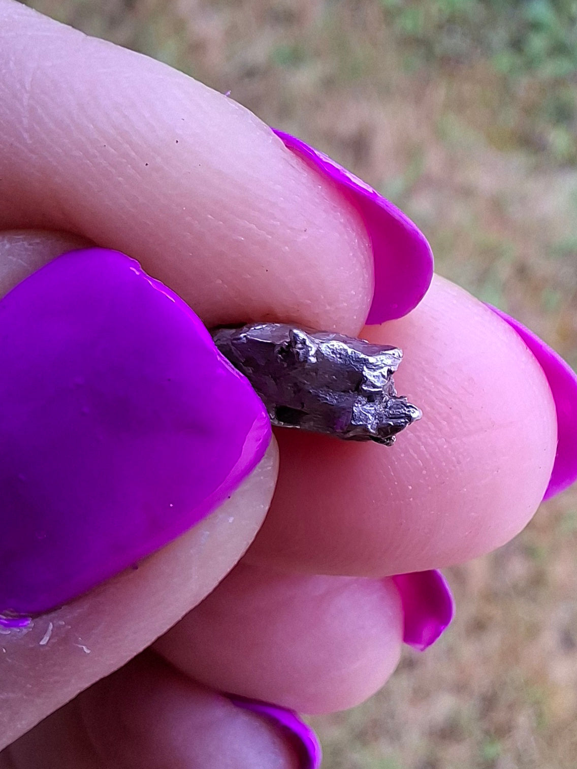 Campo del Cielo, 1.11g, Nickel Iron Meteorite (Ref: C14)