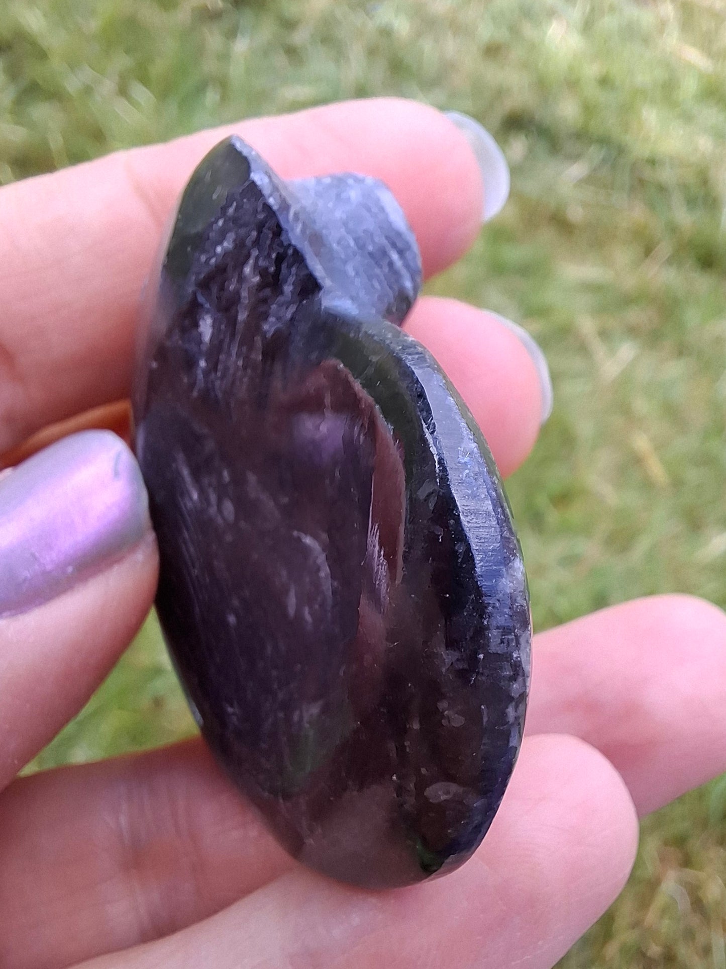 Goniatite, Fossil (Ref: GA4)