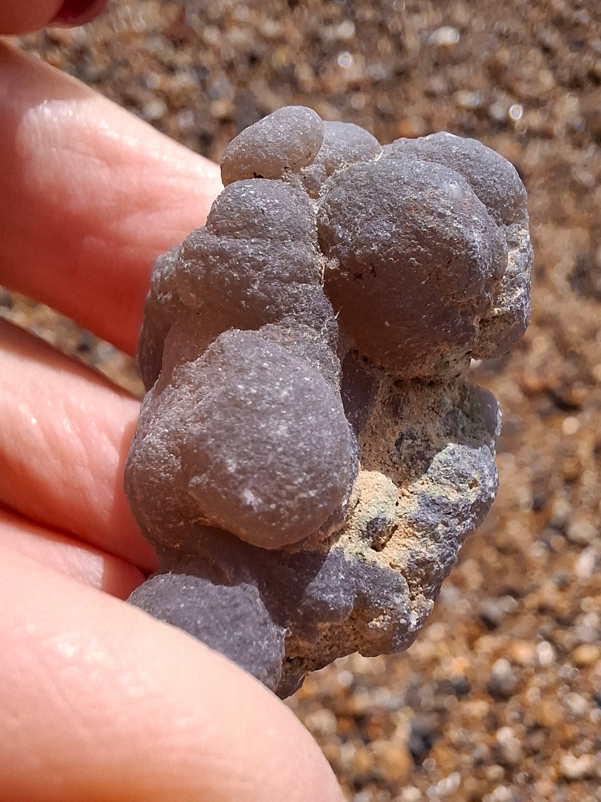 Nebula Chalcedony, 16.92g, Fossil (Ref: NC6)