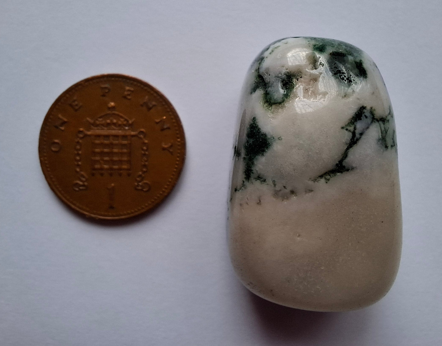Tree Agate, Tumble Stone, Crystal (Ref: T1)