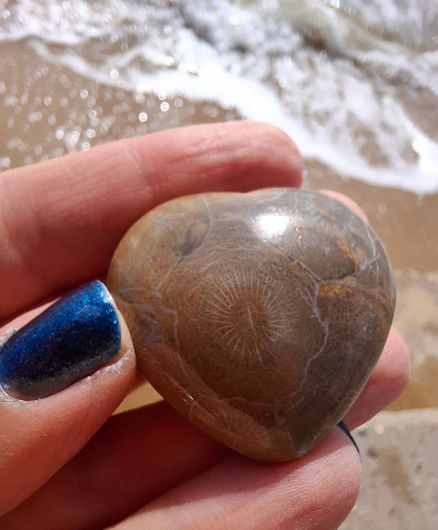 Fossil Coral Heart, (Ref:CoH1)