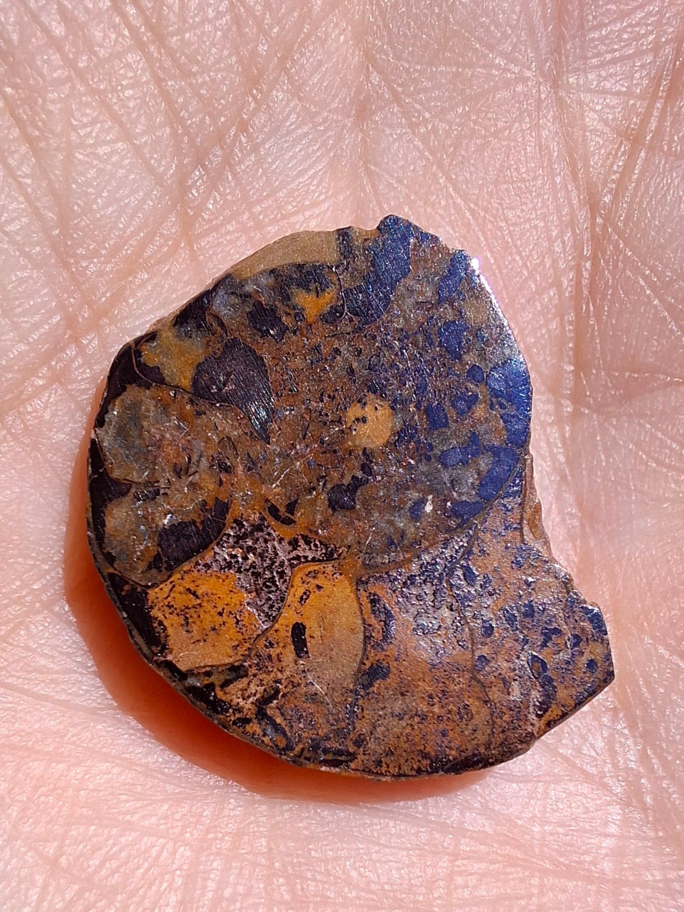 Small Haematite Ammonite HALF, 2.59g, Fossil (Ref: MA7)