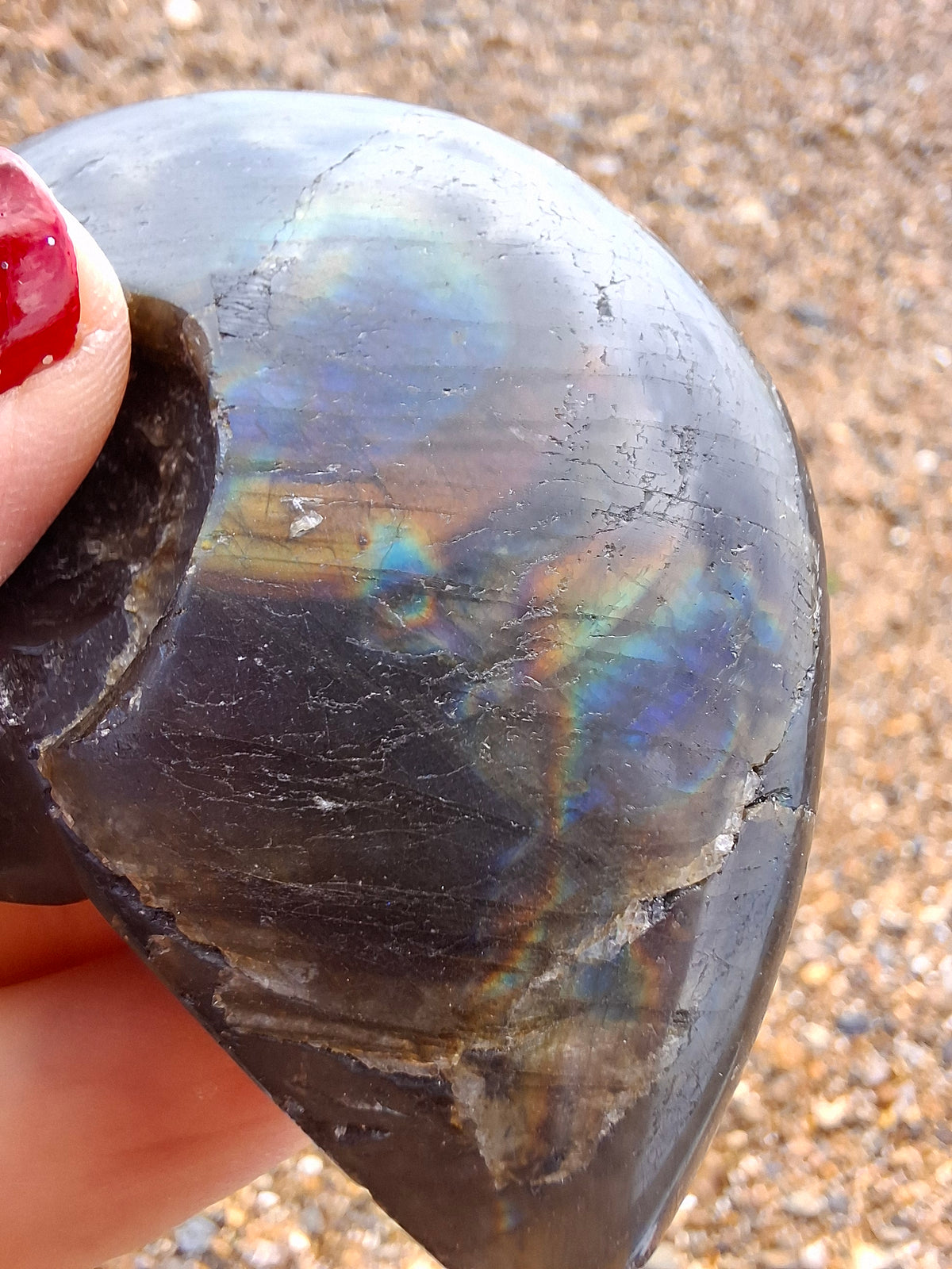 Labradorite Ammonite Carving, 89.31g, Crystal (Ref: laba6)