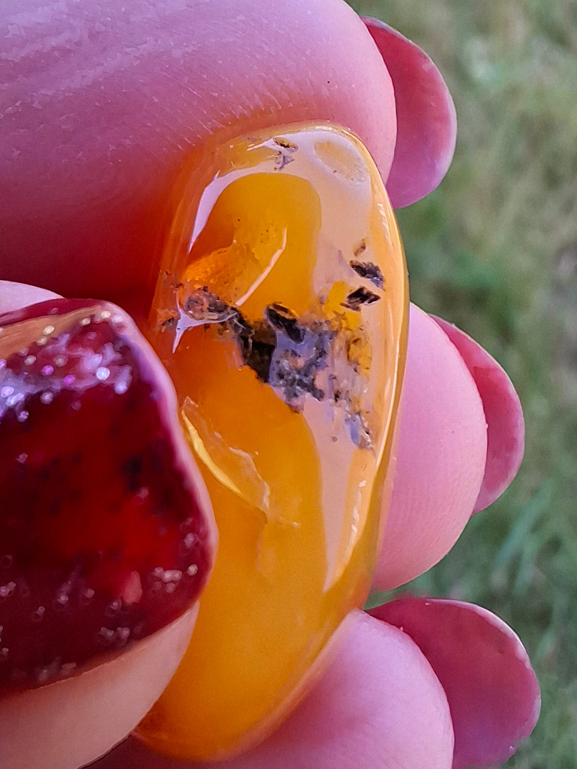 Baltic Amber, 1.74g, Fossil (Ref: A228)