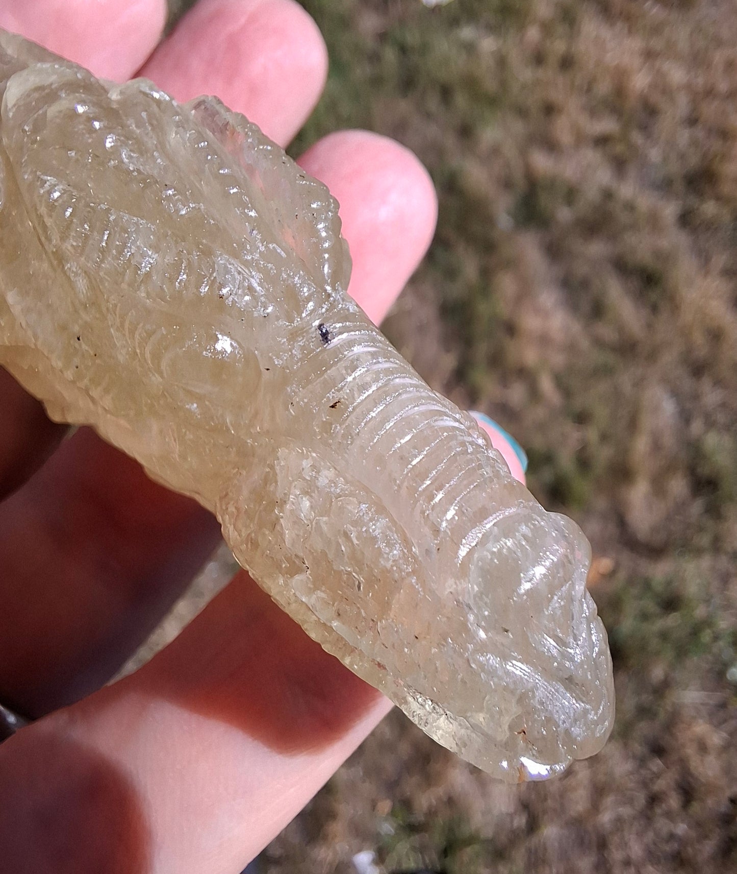 Libyan Desert Glass DRAGON HEAD carving, 48.11g, Tektite (Ref: Dragon4)