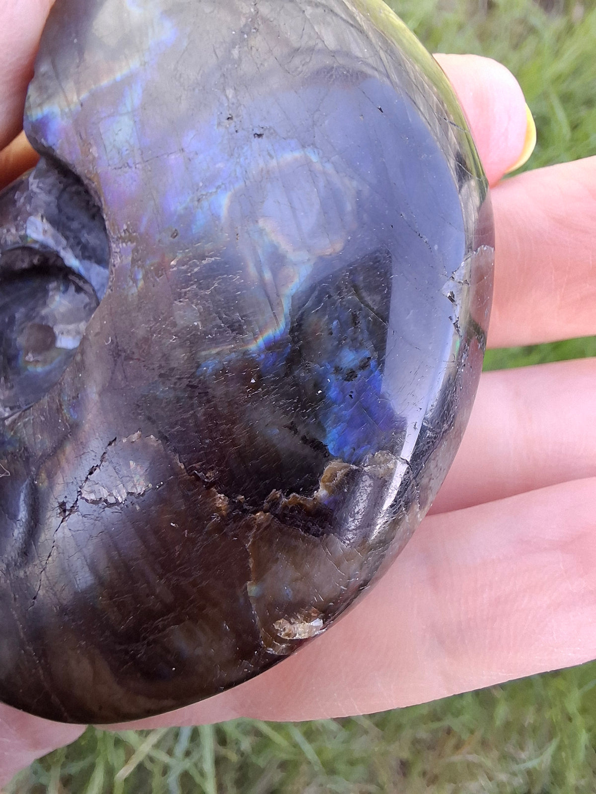 Labradorite Ammonite Carving, 153.97g, Crystal (Ref: laba2)