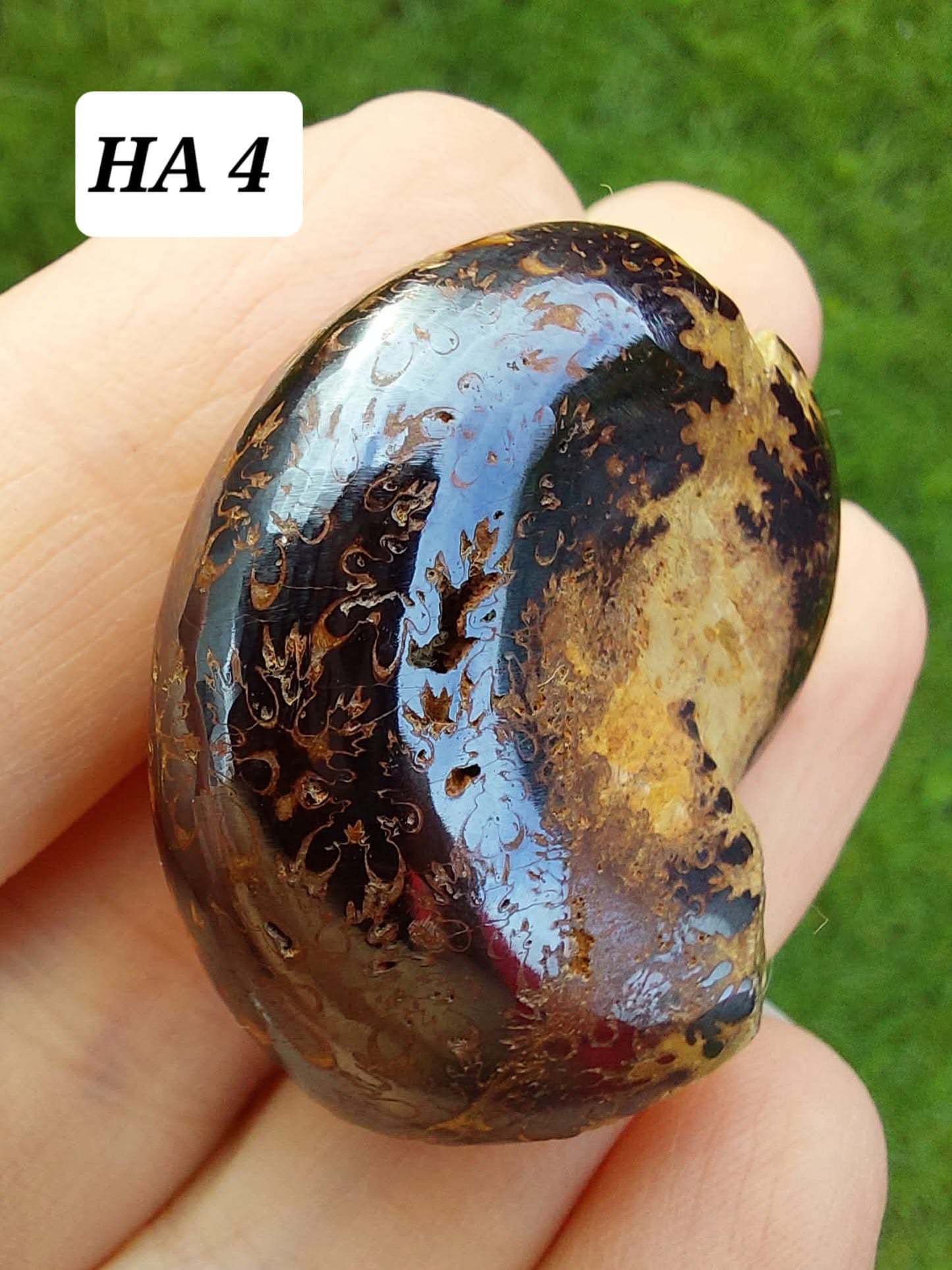 Hematite Ammonite, 18.26g, Fossil (Ref: HA4)