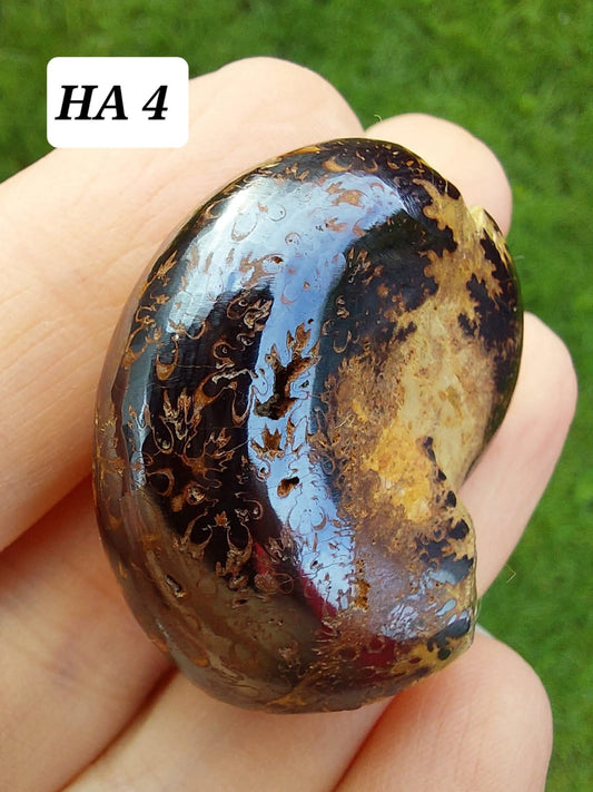 Hematite Ammonite, 18.26g, Fossil (Ref: HA4)